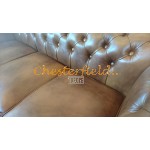 Windchester 321 Antikgold Chesterfield Garnitur