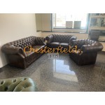 Windsor 311 Antik Mittelbraun Chesterfield Garnitur A5M